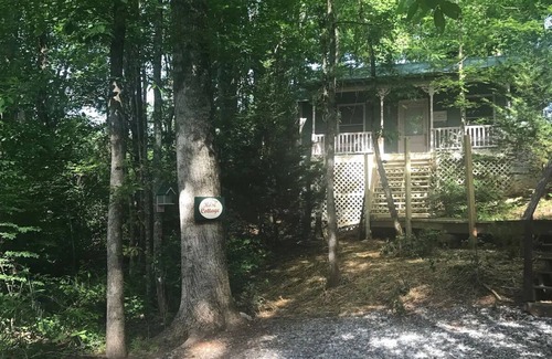 Blairsville Cottage | Escape to Pet-Friendly Studio Cabin near Helen, Blue Ridge & Appalachian Trail