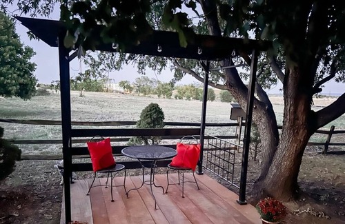 Winchester Apartment | Escape to The Bird's Nest, a charming tiny home nestled on a sprawling 62-acre farm