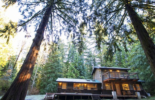 Glacier Cabin | Escape to the Forest in this Custom Mt. Baker Home!