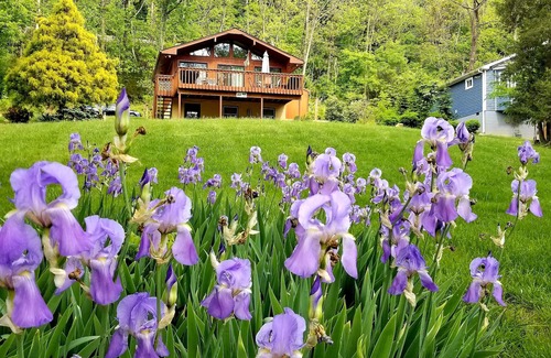 Shenandoah Cottage | Escape to your cozy 2-bed 2-bath river front cottage near Shenandoah Natl Park