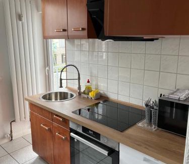 Pliensauvorstadt Apartment | Esslingen am Neckar Weilstr.47
