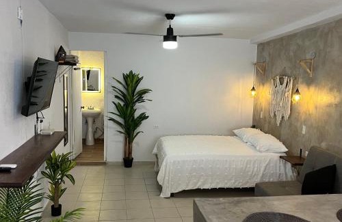 Downtown San Jose del Cabo Apartment | Estudio céntrico con diseño industrial
