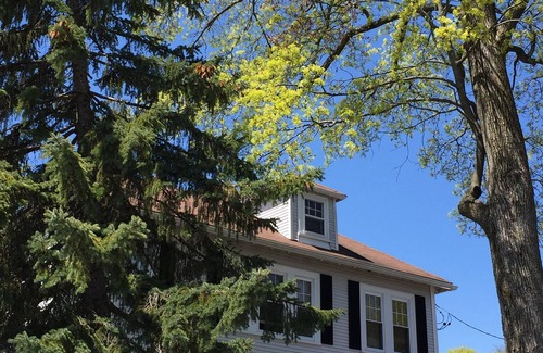 Brook Farm Apartment | European style 3 Bed/2 Bath close to all (20 min to Back Bay/Copley Sq.)