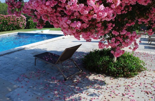 Lorgues Apartment | Everything you want for a relaxing holiday in beautiful gardens amidst vineyards