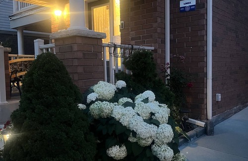 Brampton House | Excellent Location, Luxurious Apartment for Tourists and Bus. People