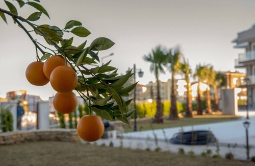 Belek Apartment | Excellent Mountain View Apartment sleep 4-6