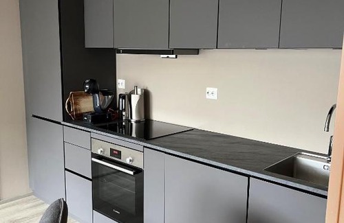 Stryn Apartment | Exclusive Apartment