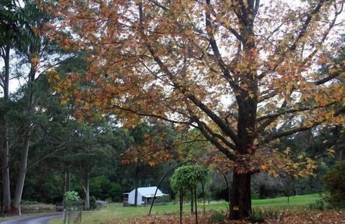 Termeil Cottage | Exclusive Couples Retreat Pet Friendly - Pristine Secluded Beaches Rural Setting