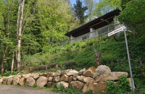 Buchschirm House | Exclusive holiday home in the Rhön with forest, vacation with dog and family