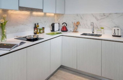 Downtown Singapore Apartment | Executive 1 Bedroom at Penang Rd close to Somerset MRT
