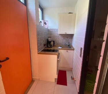 Peterstal Apartment | Exklusive Ferienwohnung MIRO 25 m² in ruhiger Lage