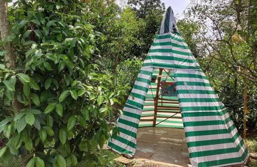 Tuxtla Chico House | Exotic flower cabin2 pool