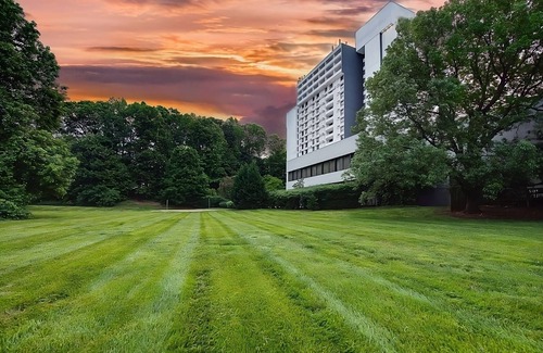 Executive Park Hotel | Experience Soothing Moments & Luxury! Pet-Friendly, Parking, Pool!