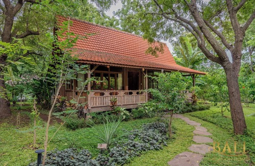 Gerokgak House | Experience the Harmony of Luxury, Nature and Wellness!