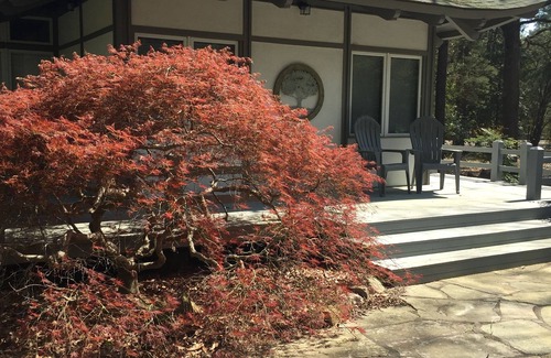 Old Town Cottage | Experience the real historic Village of Pinehurst nClose, clean, and comfortable