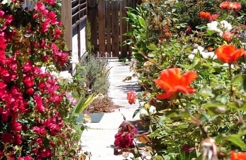 Baywood Park Cottage | Exquisite Cottage, Private Gardens, Walk To Bay