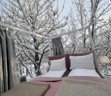 Rangarþing eystra Other | Eyja Mork - Stargazing Igloo with shared Hot Tub, BBQ and kitchen - B3