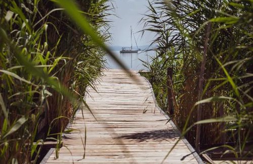 Balatonfuzfo Apartment | Fűzliget Mangó Garden
