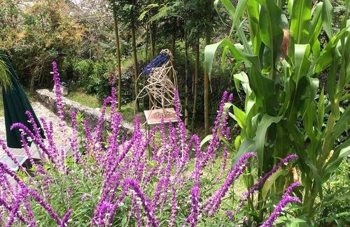 Tepoztlan House | Fabulous bungalow with WiFi in Montana Sagrada