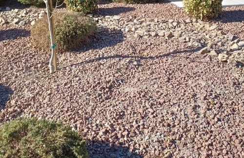 Pahrump House | Fabulous 3 Bedroom home