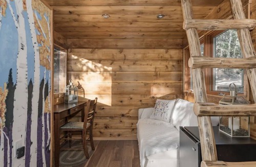 Evergreen Cabin | Fairytale Pine Cabin with Treehouse Studio! Near Evergreen & Mount Evans