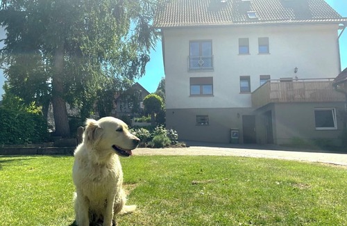Geisa Apartment | Familienfreundliche Ferienwohnung mit Großzügigem Balkon