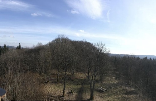 Buscheich Apartment | Family apartment with idyllic view and garden - Apartment 1