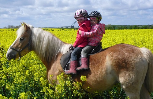 Avendorf Other | Family-friendly farmhouse offers comfortable 3 and 4 star apartments