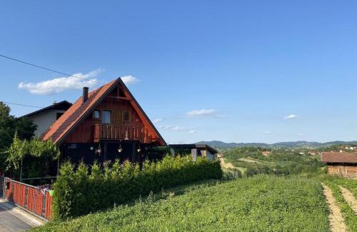 Gornja Stubica House | Family friendly house with a swimming pool Donja Stubica, Zagorje - 19236