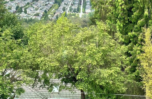 Burnaby House | Family Friendly Modern Luxury with Pool and Expansive City and Mountain Scapes