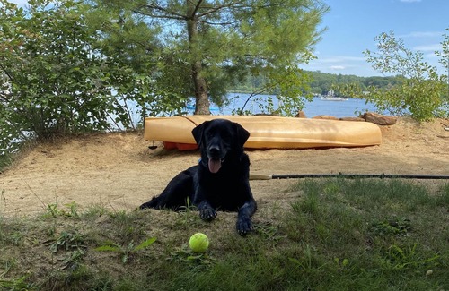 Laconia House | Family-friendly waterfront vacation home on beautiful Lake Winnisquam