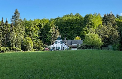 Preussisch Oldendorf Villa | Family group holiday home in a secluded location with its own forest and lake with jetty