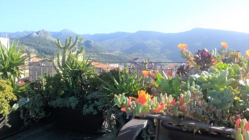 Cuglieri House | Fantastic Large House with Beautiful Roof Terraces