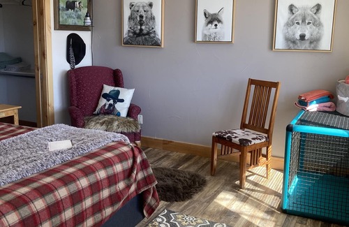 Parshall Cabin | Far from crowds, dog friendly, spa amenities, on a remote 80 acre mountain top