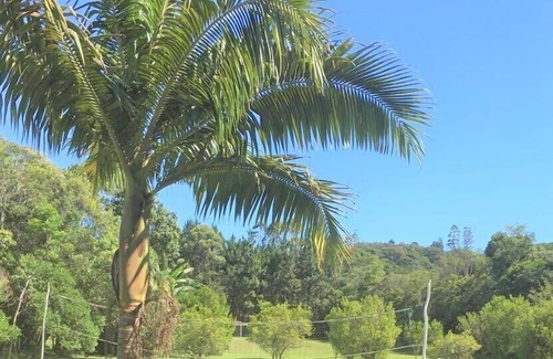 Sao Paulo House | Farm, Leisure and Nature in Embu Guaçu - Cipó