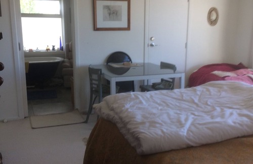 Te Horo Other | Farm stay in peaceful rural setting at equestrian centre.
