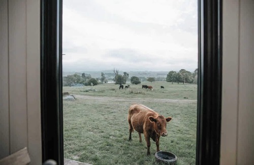 Braidwood House | Farm Stay Tiny House by Tiny Away