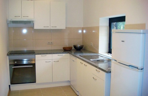 Marco de Canaveses Other | Farm with swimming pool, 5-hectare vineyard, 40 km from Porto, 24 km from the Douro river