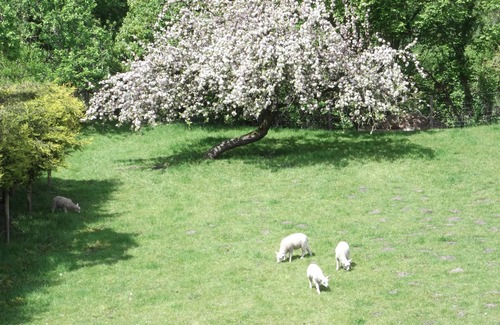 Congleton Cottage | Farmhouse Cottage Sleeps 2 (1 en-suite Bedroom)