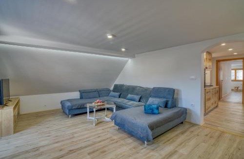Vransko House | Farmhouse Raspberry Pool&Wellness - Happy Rentals
