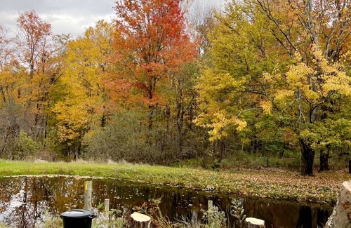 Orson Apartment | Farmhouse Style Apartment Located On a Serene 50+ Acres Featuring Creeks & Ponds