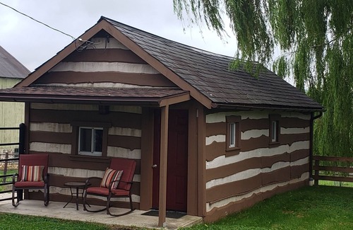 Bainbridge Cabin | Farmstay with pool and firepit