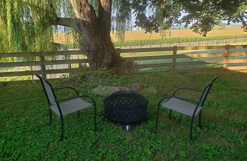 Bainbridge Cabin | Farmstay with pool and firepit
