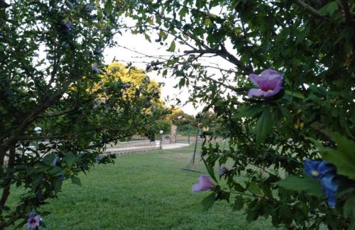 Monterosi Apartment | favoloso appartamento in villa