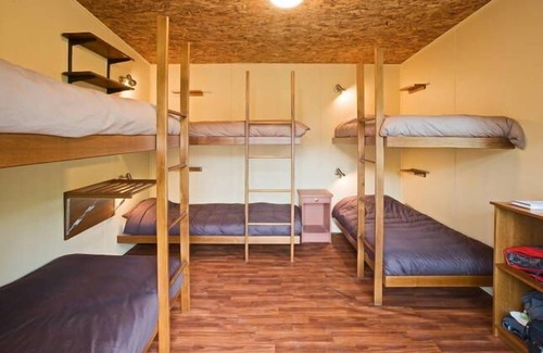 Taylor Bay Other | Fawlty Farm in Taylor Bay with 3 FREE experiences