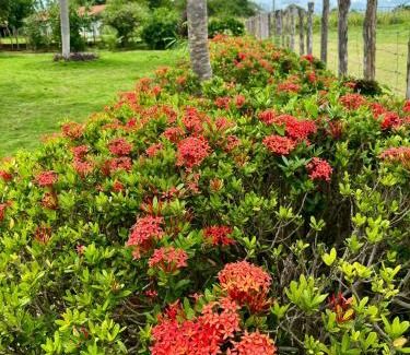 Campo Maior House | Fazenda Aprazível