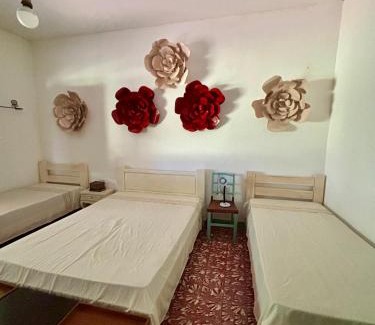 Campo Maior House | Fazenda Aprazível