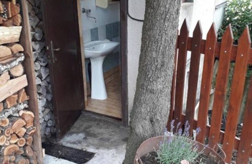 Matavun House | Feel surrounded by nature. Pets allowed