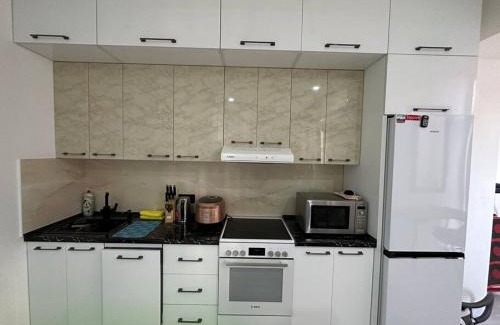 Dushanbe Apartment | Feel the luxury ! 快適なマンション!