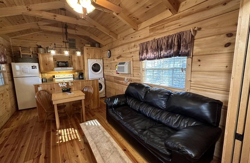 Candler Cabin | Feelin Frisky? - Hot Tub, Fireplace, Romantic, View, Near Downtown,WiFi, Pets